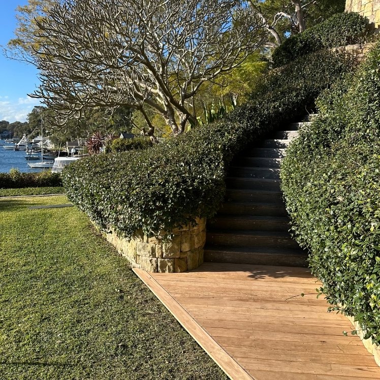 Garden path & deck landscaping — Deck and garden path tied together as one connected outdoor space.